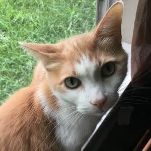 Meet your Posher, Colene